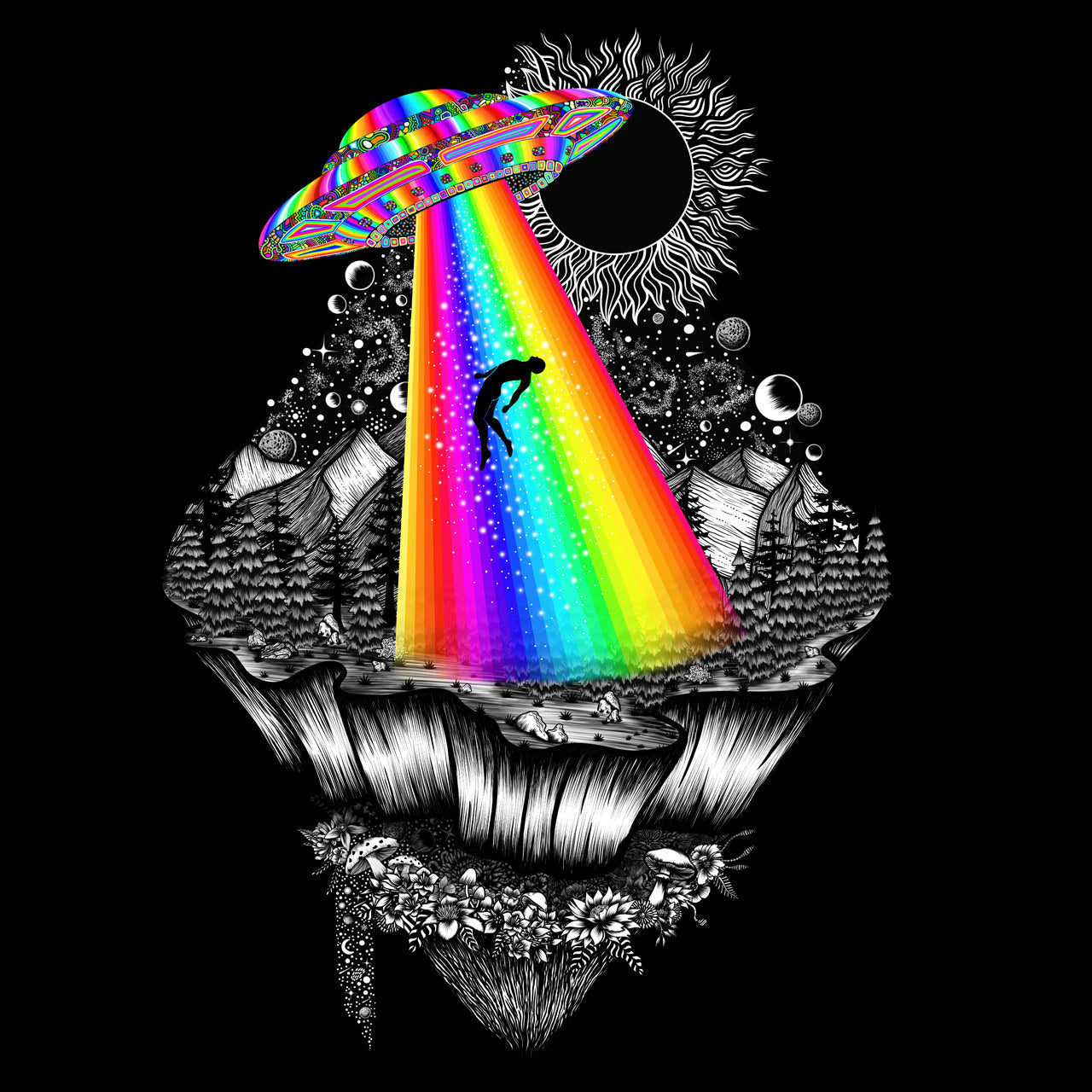 Alien Ascension |Shamaniac| Alien Conspiracy and Spiritual Hoodie