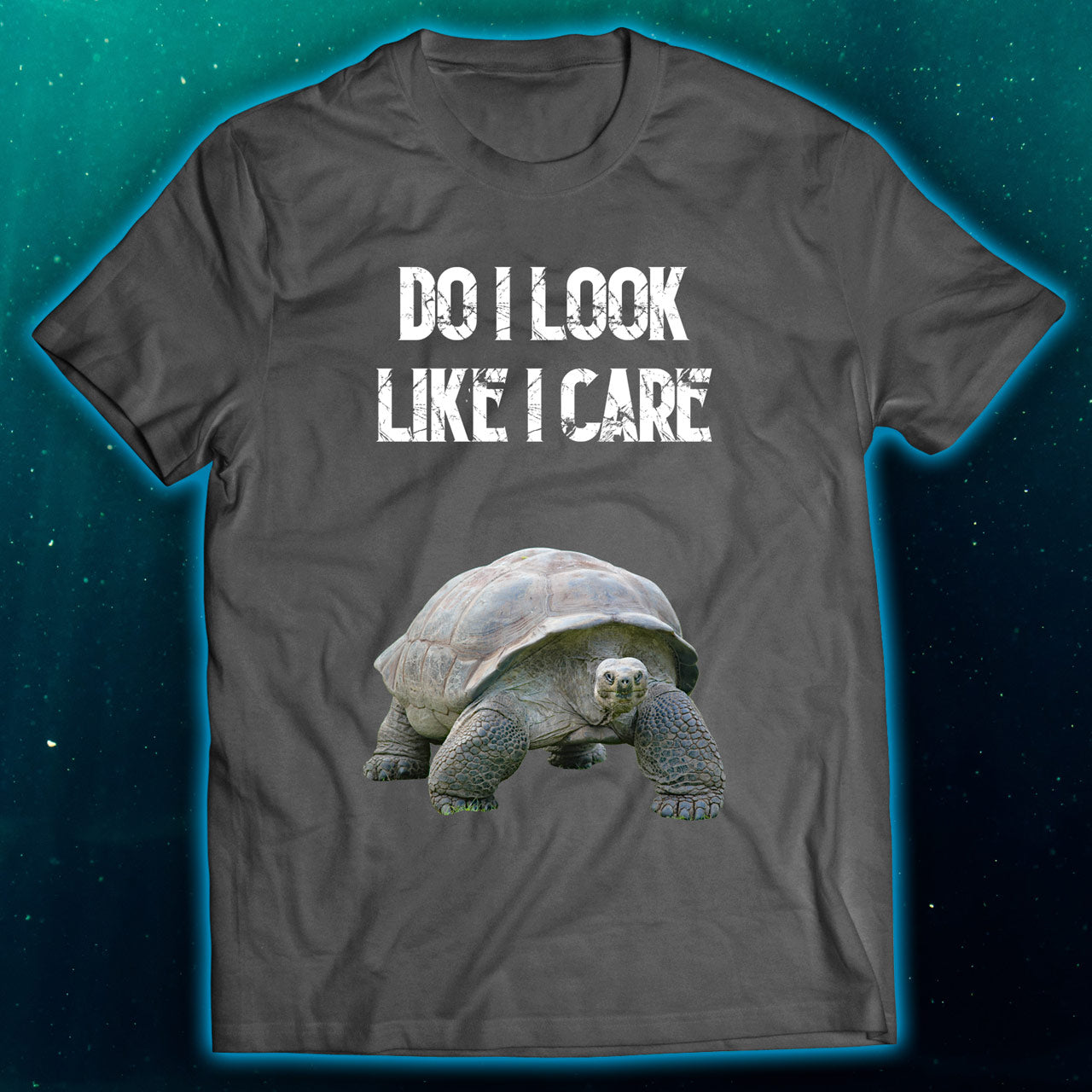 Do I Look Like I Care Turtle