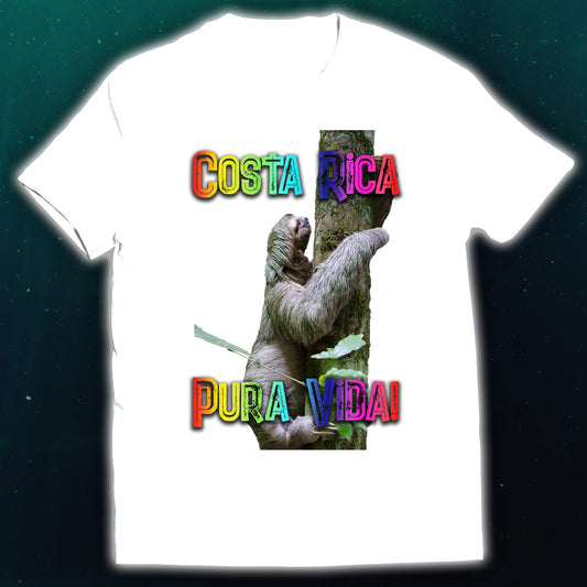 Sloth Climbing